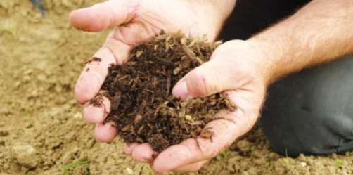 Apports de matières organiques à la cueillette Chapeau de paille pour entretenir la fertilité des sols