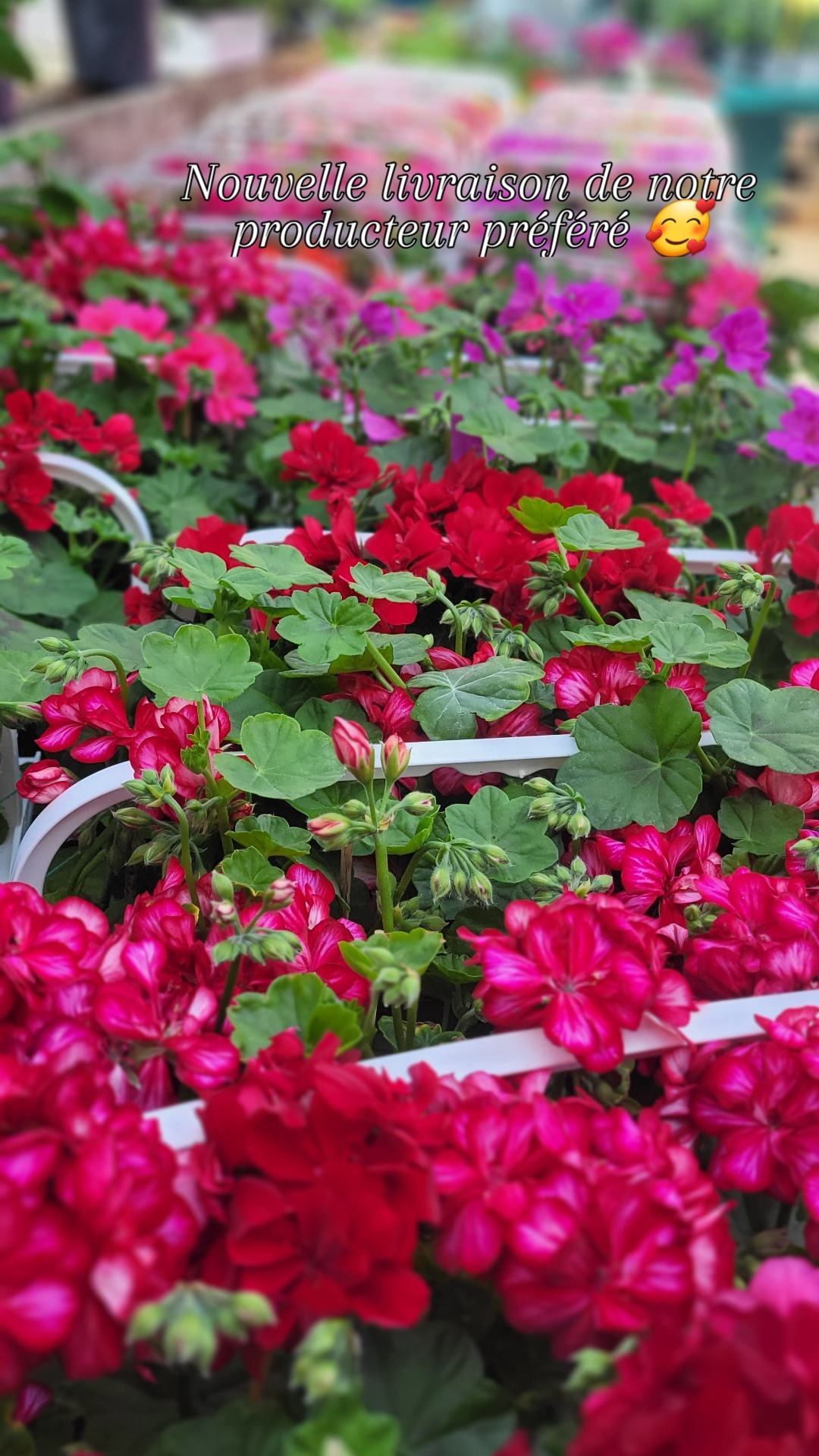 livraison producteur