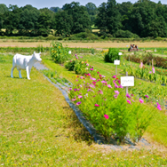 Ferme de la Réauté
