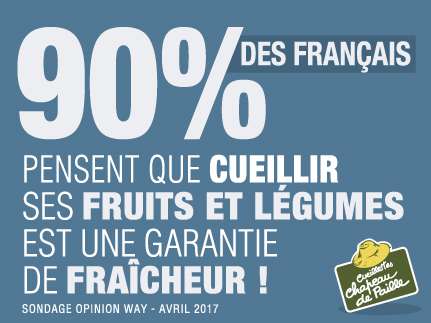 Dans un sondage Opinionway pour  Chapeau de paille, les français plébiscitent la garantie de fraîcheur des produits que l'ont vient cueillir soi-même